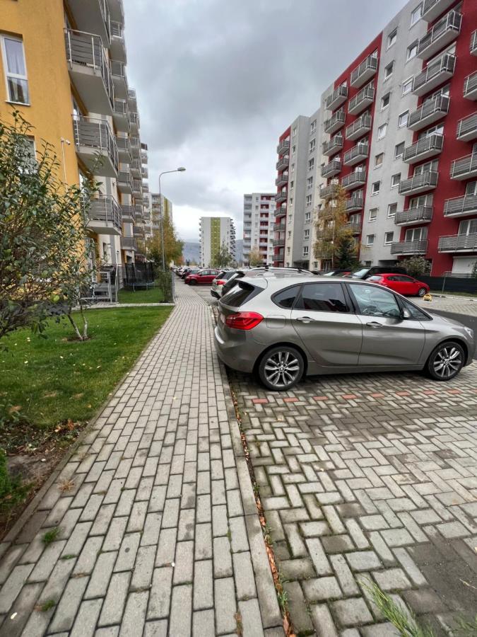 Appartement Moncler Family à Braşov Extérieur photo